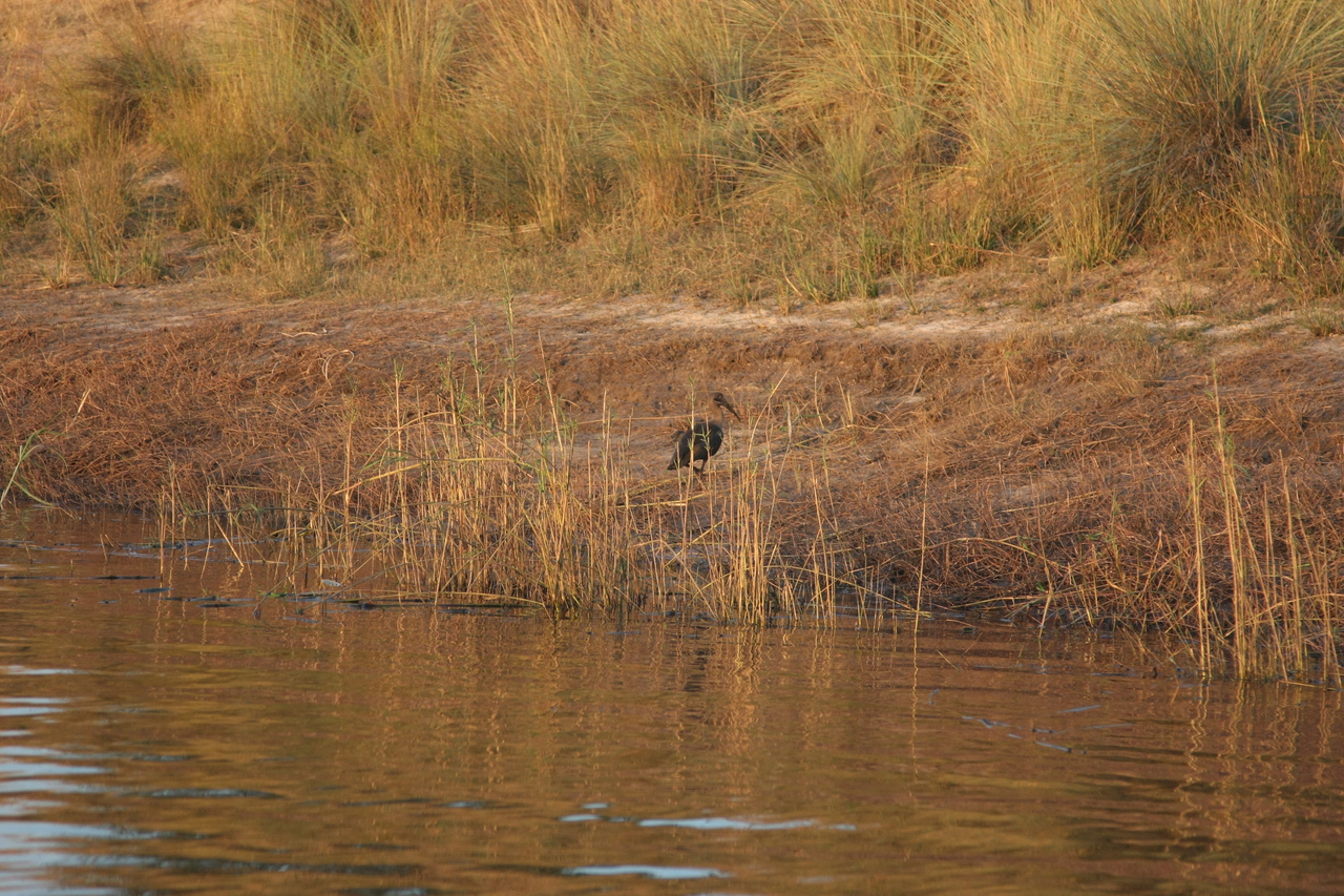 [28524] 2016_07_02_11_28_42_Africa_Canon_EOS_40D_IMG__04700.jpg