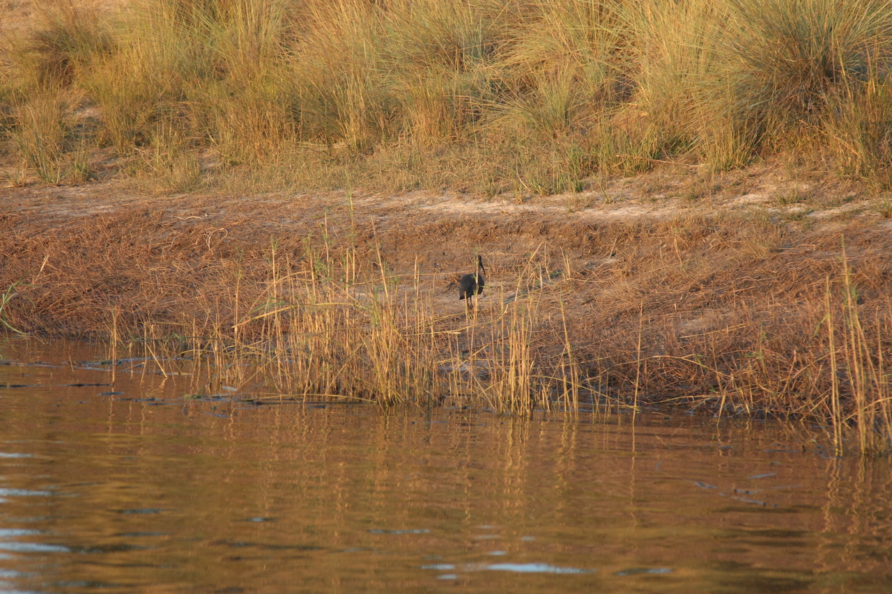 [28526] 2016_07_02_11_28_42_Africa_Canon_EOS_40D_IMG__04703.jpg