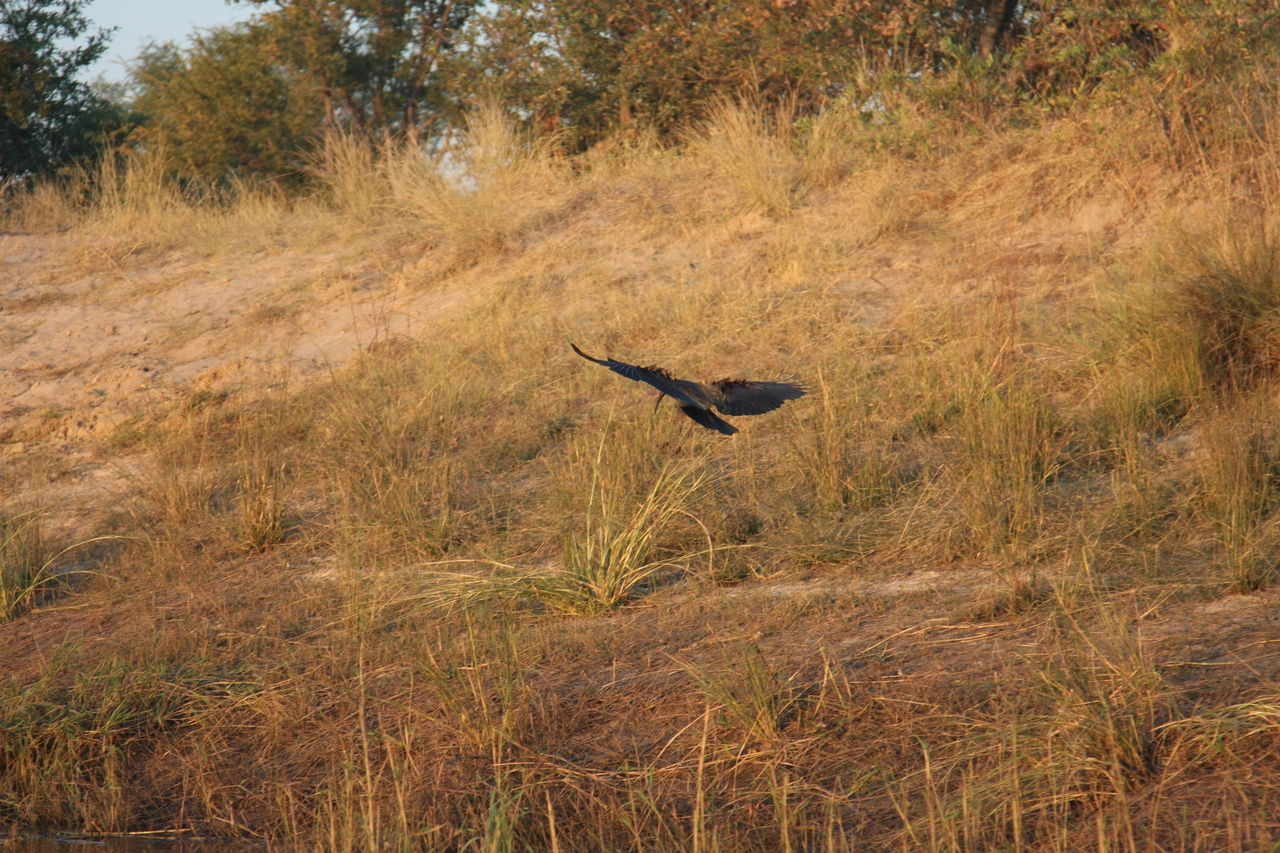 [28539] 2016_07_02_11_28_59_Africa_Canon_EOS_40D_IMG__00164.jpg