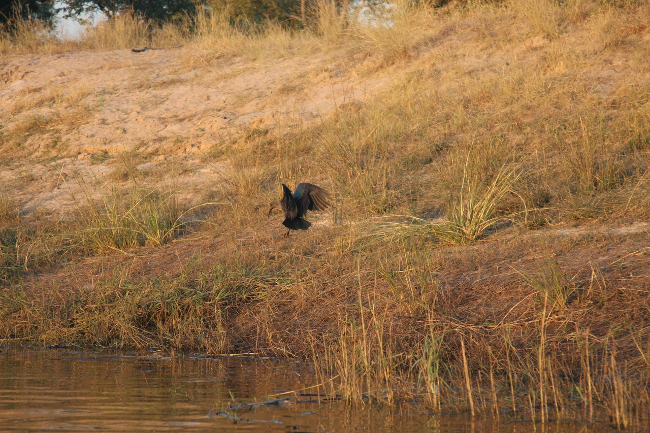 [28541] 2016_07_02_11_28_59_Africa_Canon_EOS_40D_IMG__00166.jpg