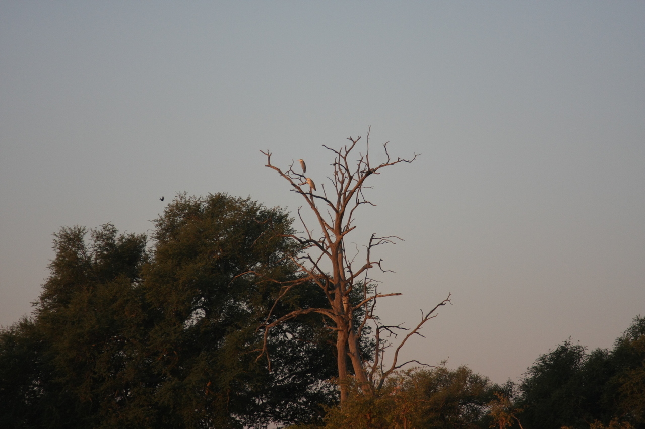 [28550] 2016_07_02_11_30_30_Africa_Canon_EOS_40D_IMG__04710.jpg