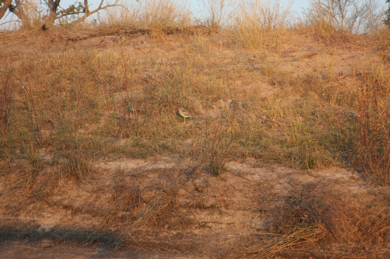 [28560] 2016_07_02_11_31_14_Africa_Canon_EOS_40D_IMG__04714.jpg