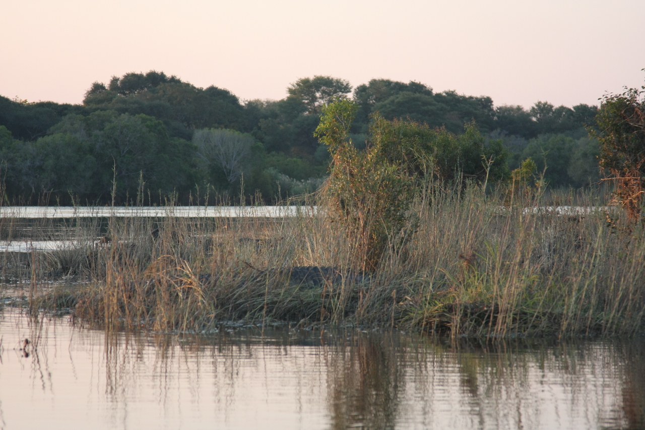 [28578] 2016_07_02_11_34_00_Africa_Canon_EOS_40D_IMG__04720.jpg