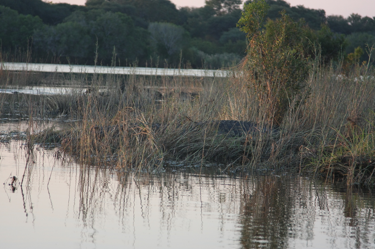 [28589] 2016_07_02_11_34_17_Africa_Canon_EOS_40D_IMG__04724.jpg