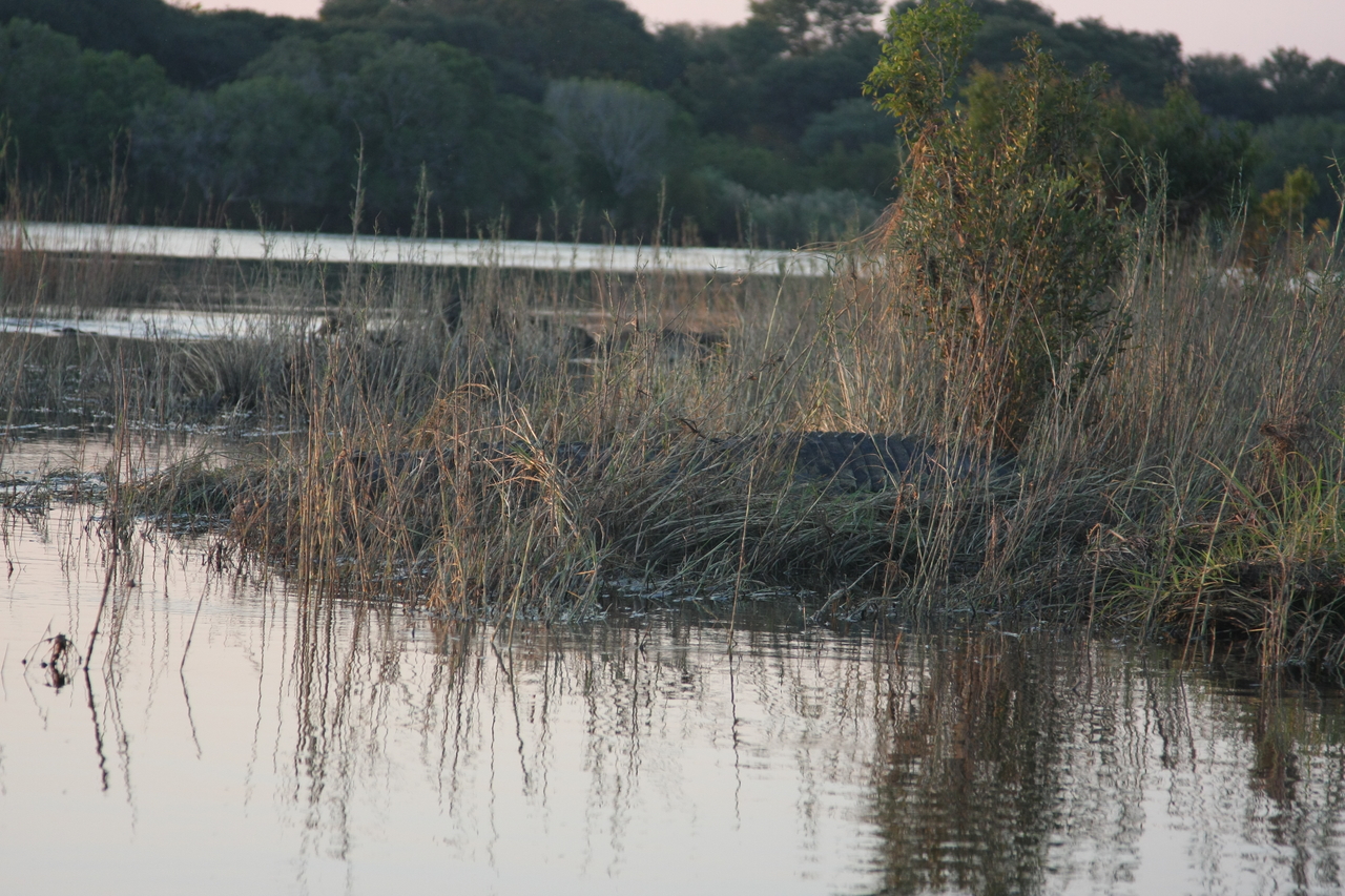 [28590] 2016_07_02_11_34_17_Africa_Canon_EOS_40D_IMG__04725.jpg