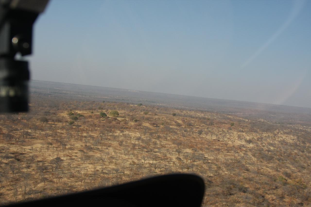 [29261] 2016_07_03_02_57_22_Africa_Canon_EOS_40D_IMG__05521.jpg