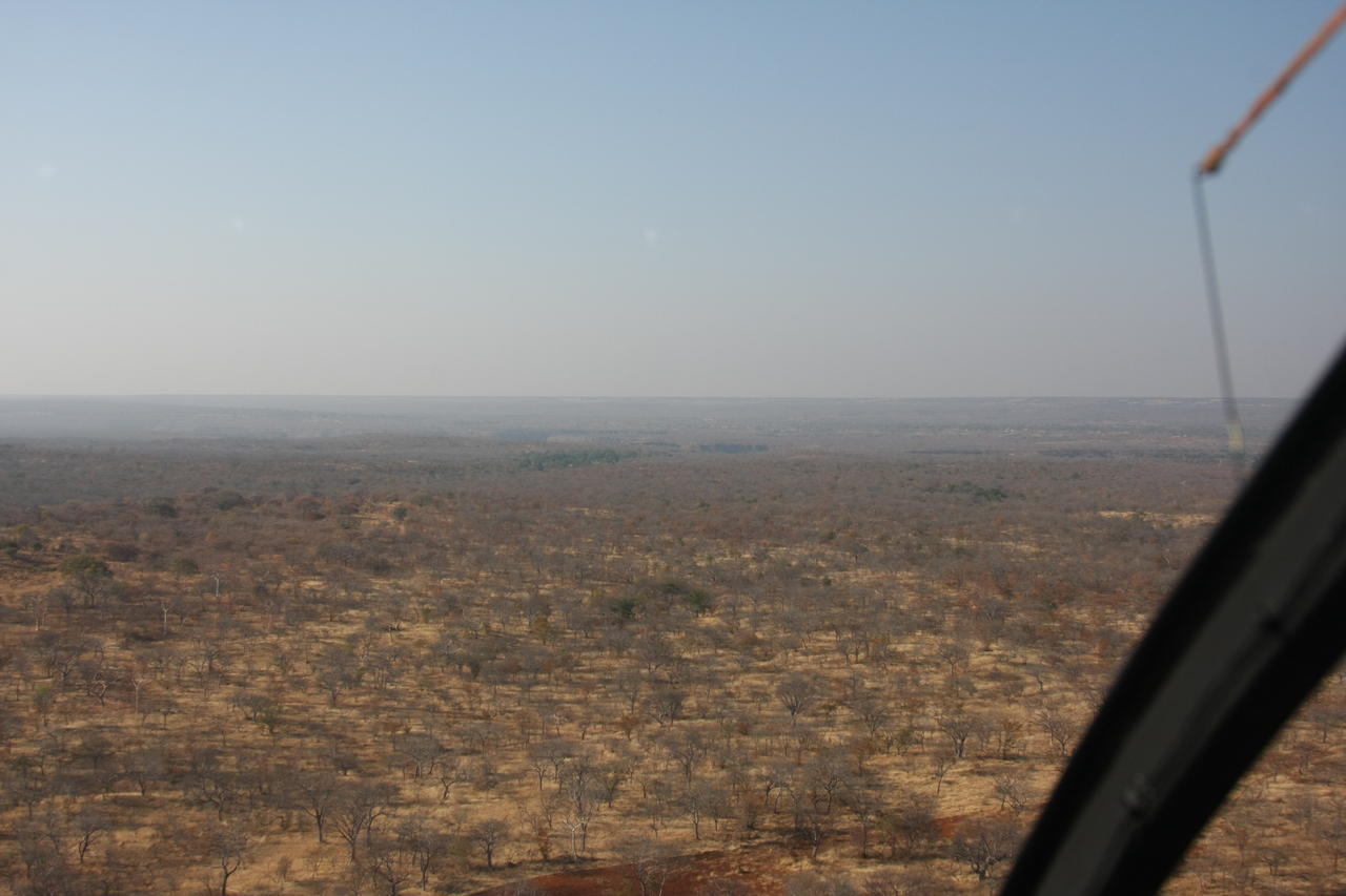 [29265] 2016_07_03_02_57_29_Africa_Canon_EOS_40D_IMG__12979.jpg