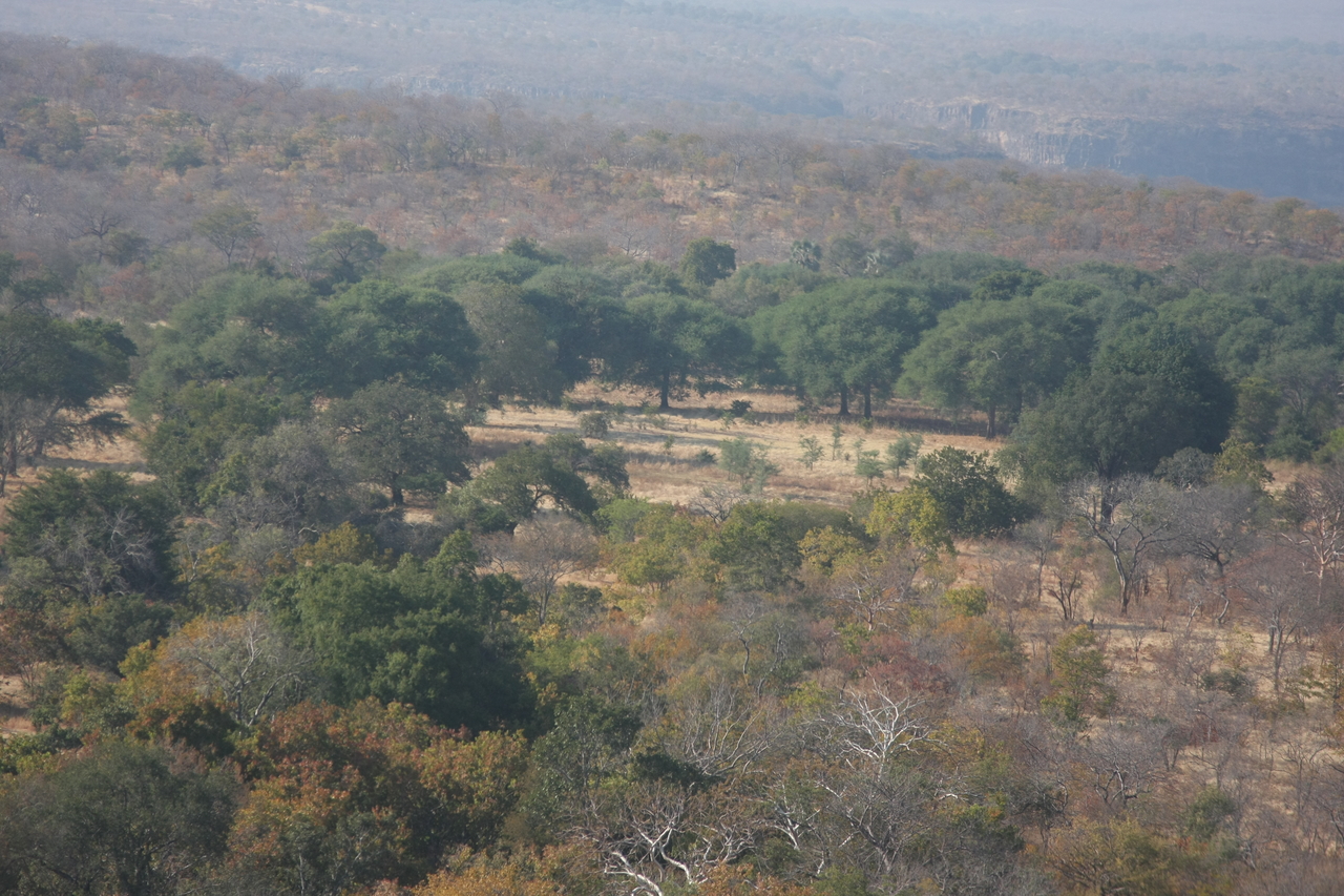 [29266] 2016_07_03_02_58_04_Africa_Canon_EOS_40D_IMG__00713.jpg