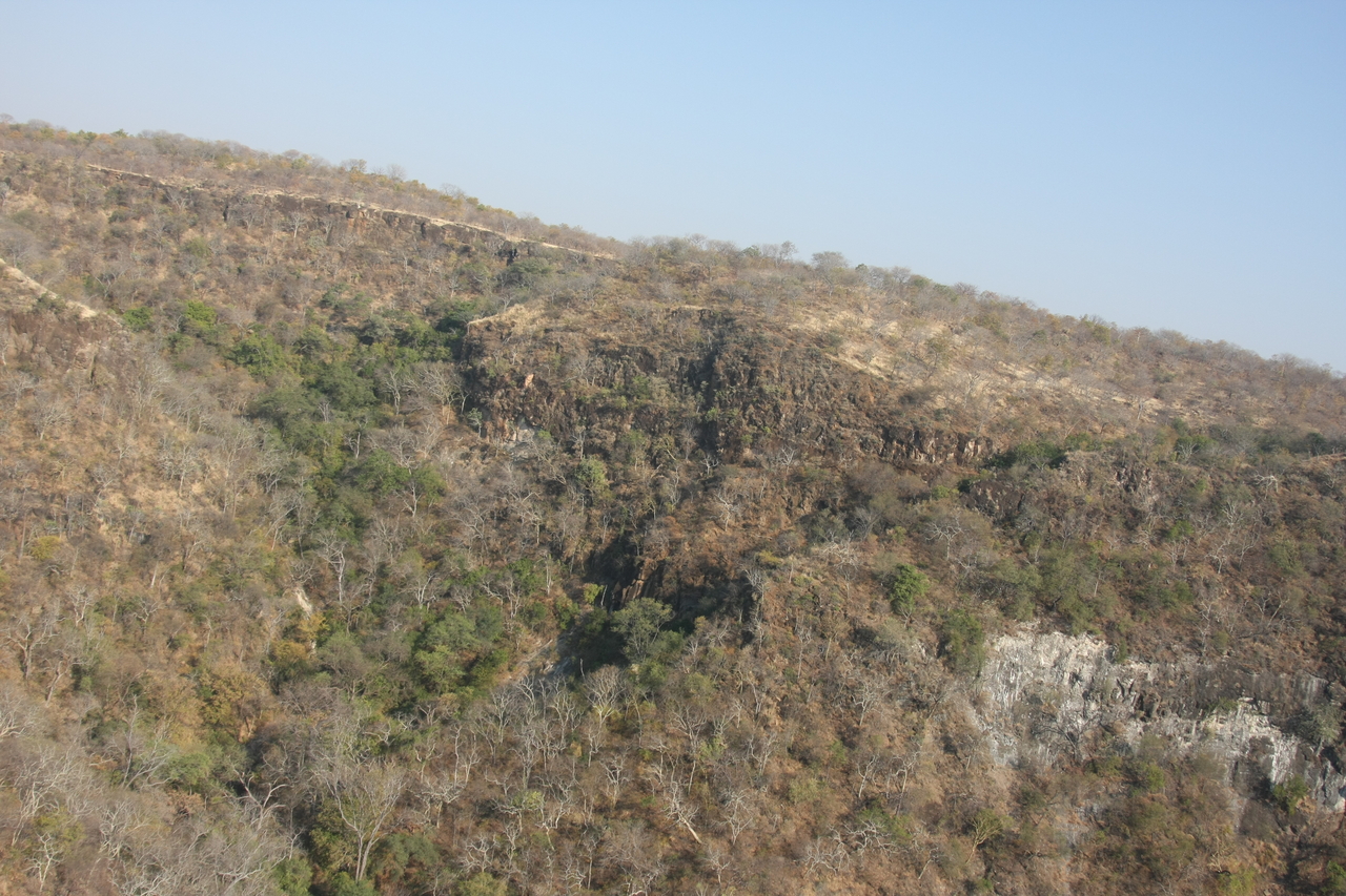 [29465] 2016_07_03_03_00_38_Africa_Canon_EOS_40D_IMG__12323.jpg