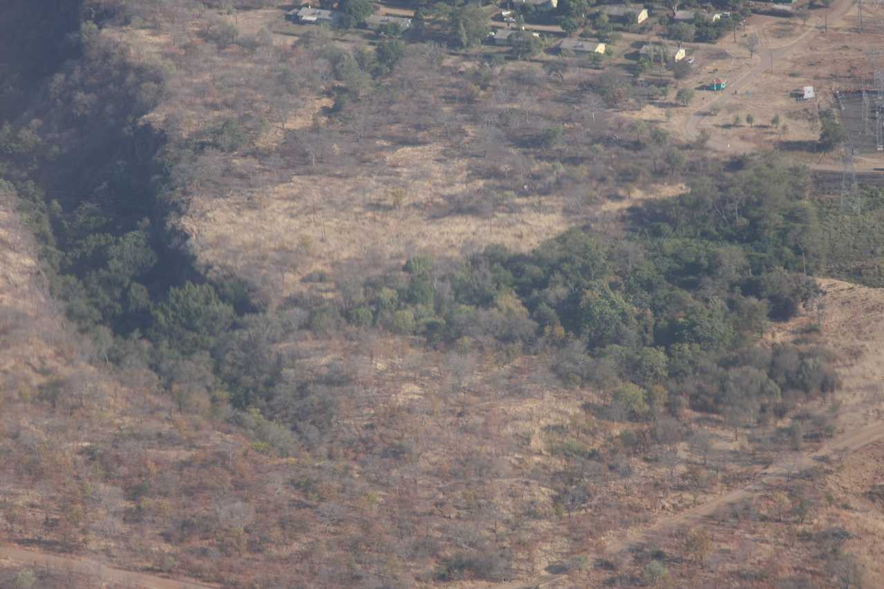 [29563] 2016_07_03_03_04_48_Africa_Canon_EOS_40D_IMG__04914.jpg