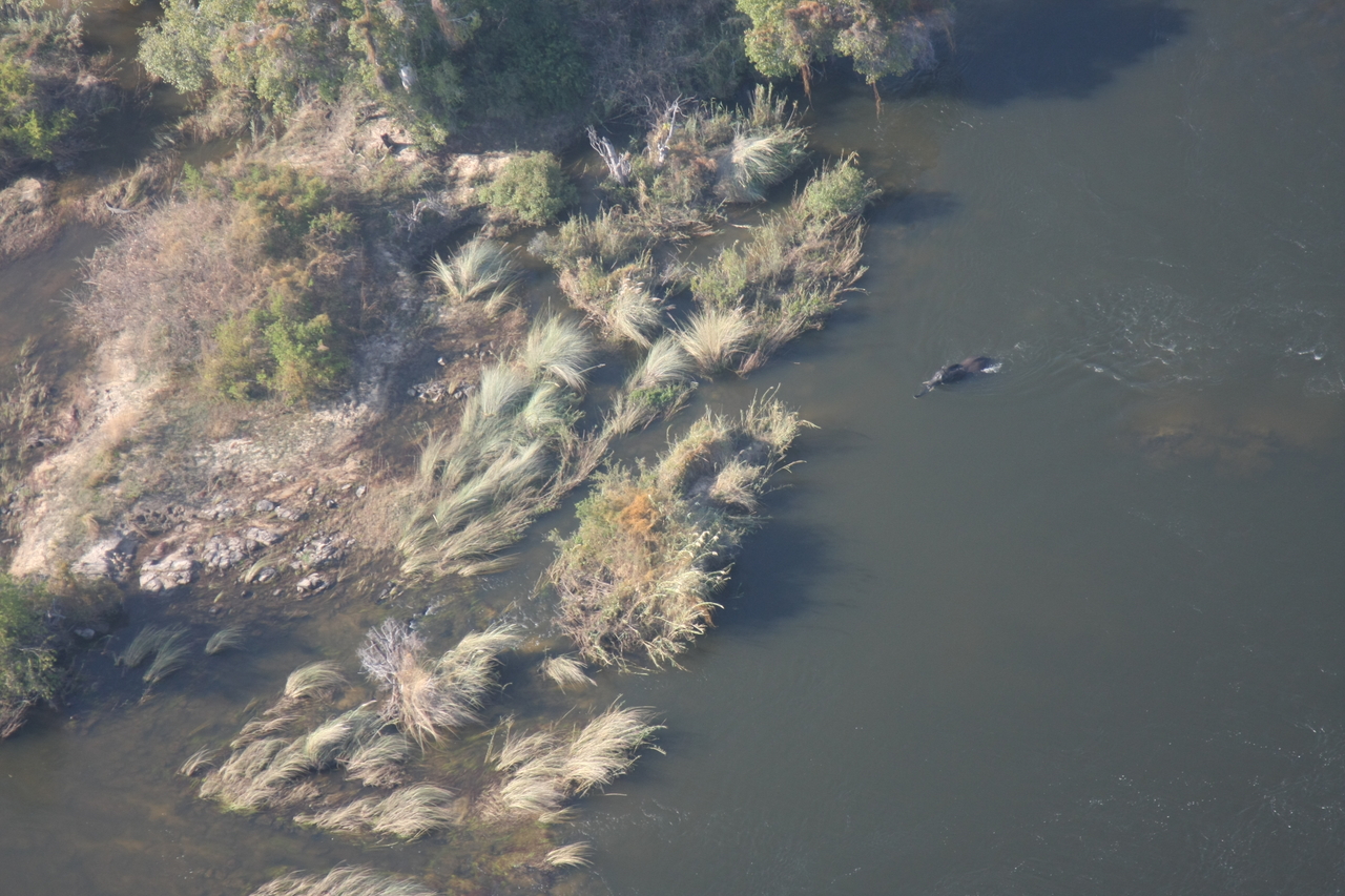 [30170] 2016_07_03_03_10_54_Africa_Canon_EOS_40D_IMG__05138.jpg