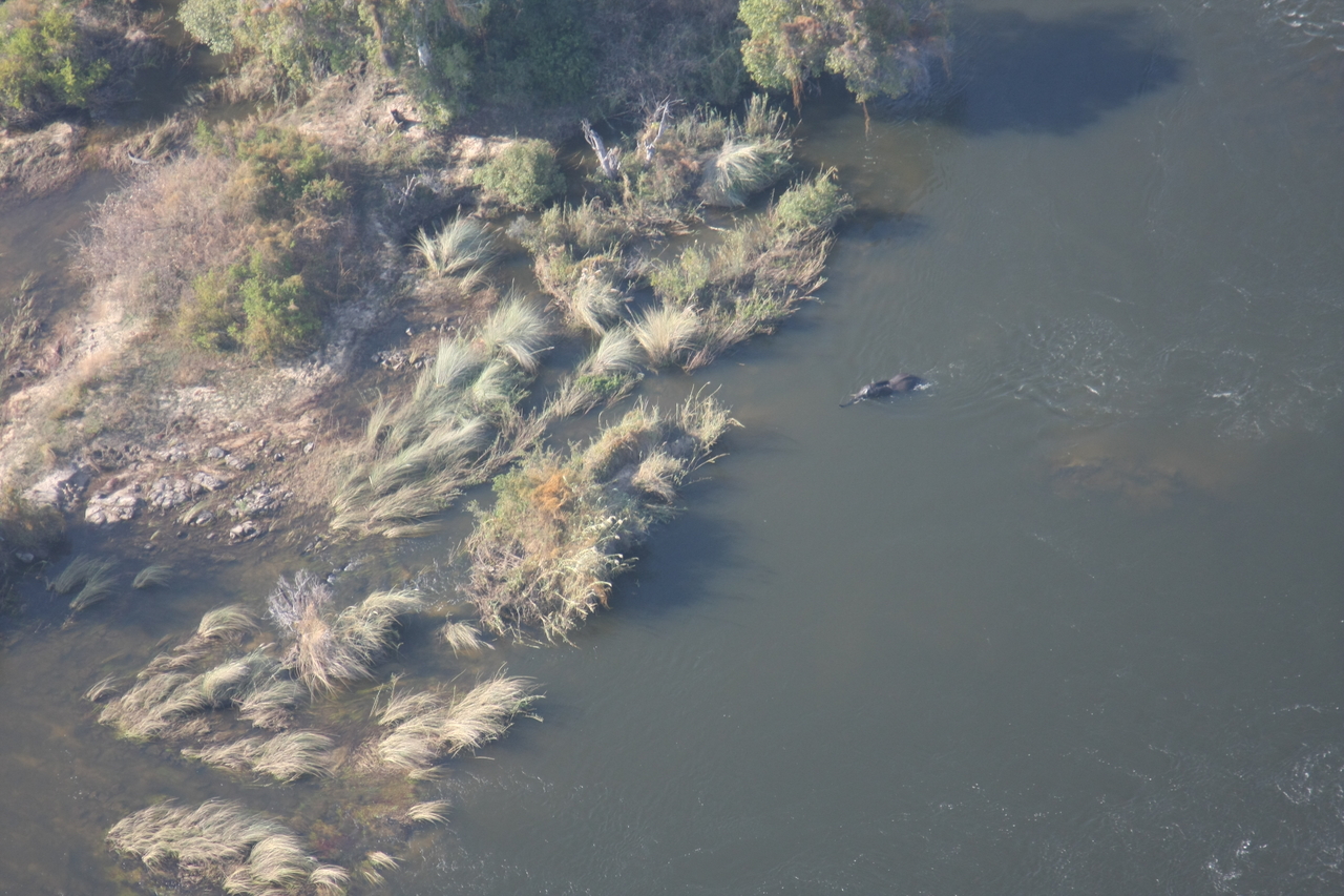 [30175] 2016_07_03_03_10_55_Africa_Canon_EOS_40D_IMG__00310.jpg