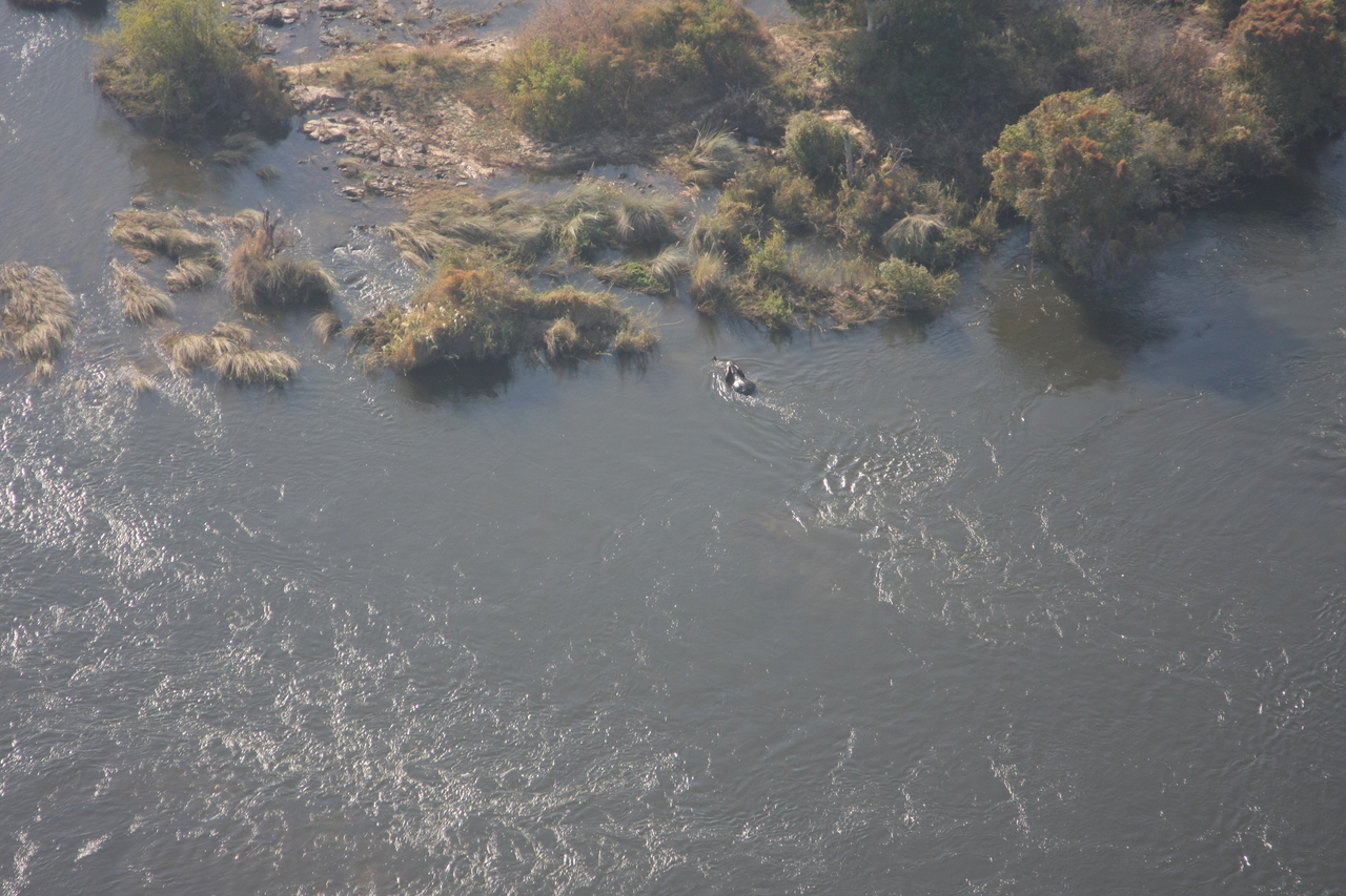[30189] 2016_07_03_03_11_00_Africa_Canon_EOS_40D_IMG__00317.jpg