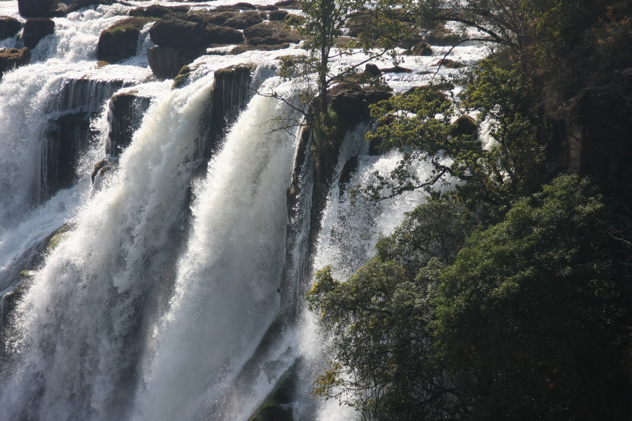 [31279] 2016_07_03_08_34_44_Africa_Canon_EOS_40D_IMG__00696.jpg