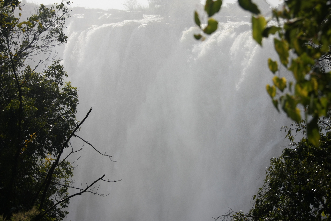 [31317] 2016_07_03_08_37_49_Africa_Canon_EOS_40D_IMG__00698.jpg