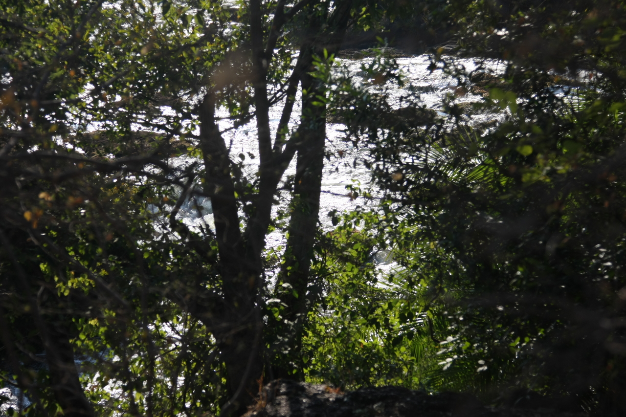 [31845] 2016_07_03_09_46_34_Africa_Canon_EOS_40D_IMG__00772.jpg