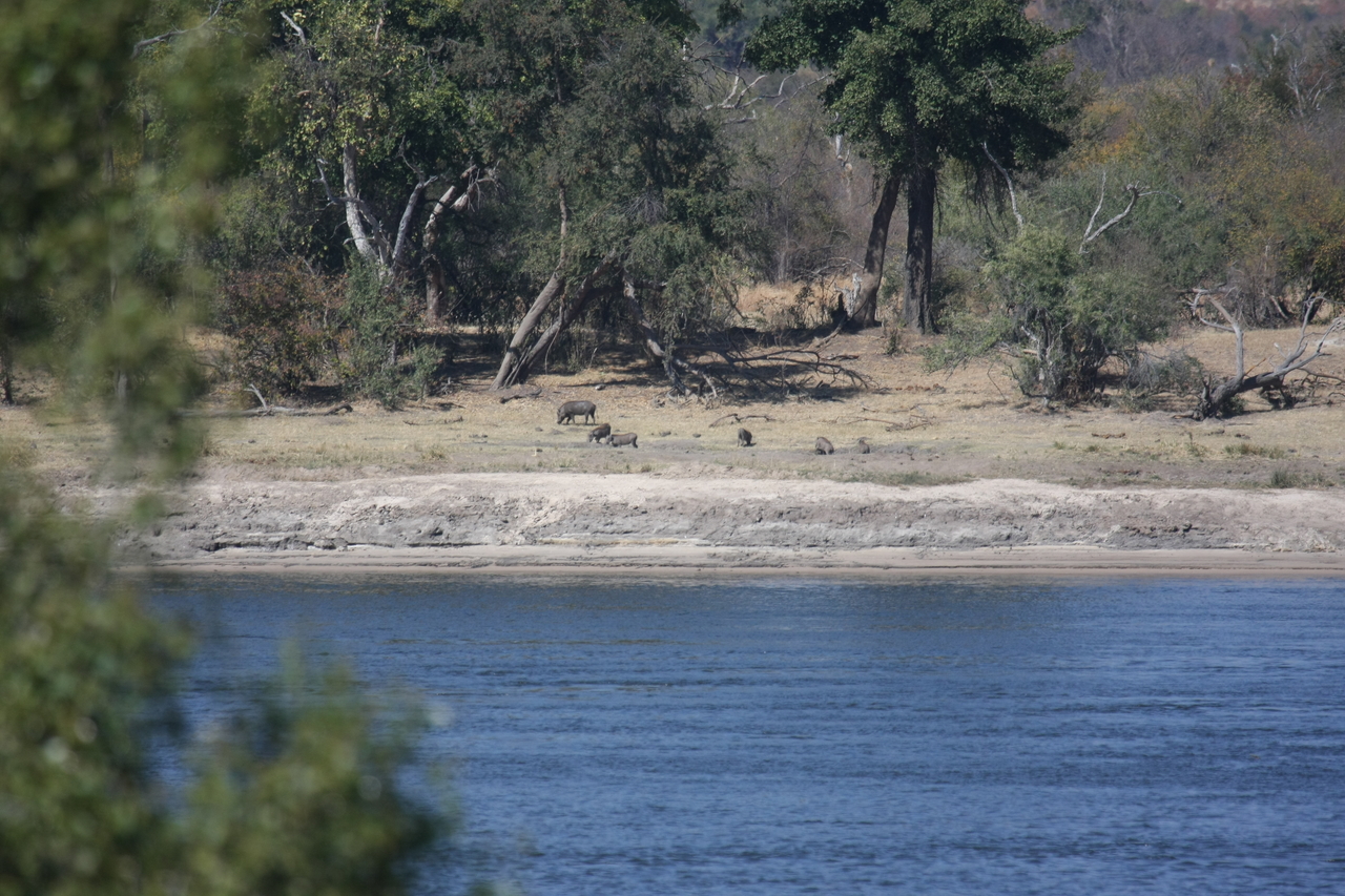 [32844] 2016_07_04_05_57_03_Africa_Canon_EOS_40D_IMG__06029.jpg