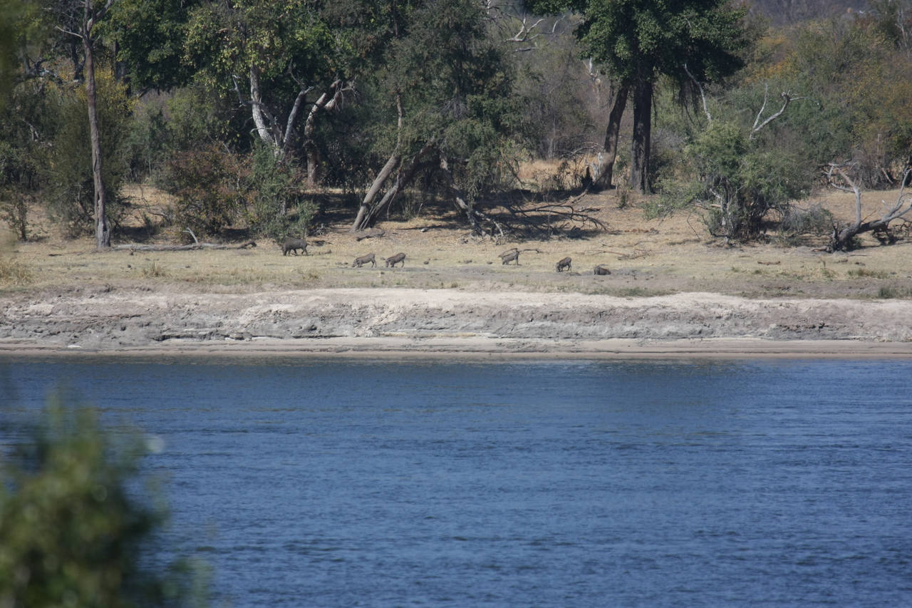 [32852] 2016_07_04_05_57_34_Africa_Canon_EOS_40D_IMG__05638.jpg