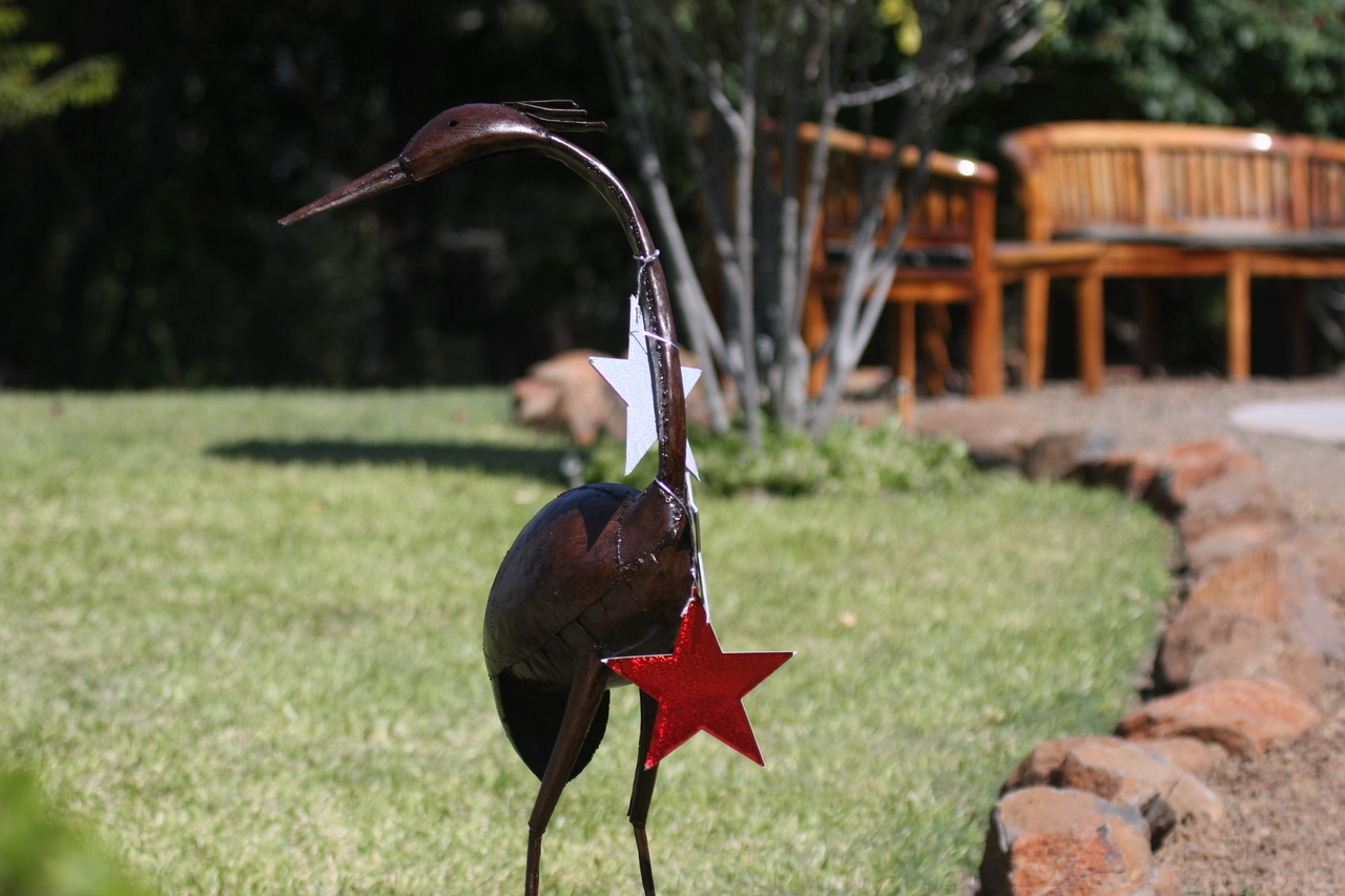 [32904] 2016_07_04_06_16_42_Africa_Canon_EOS_40D_IMG__05815.jpg