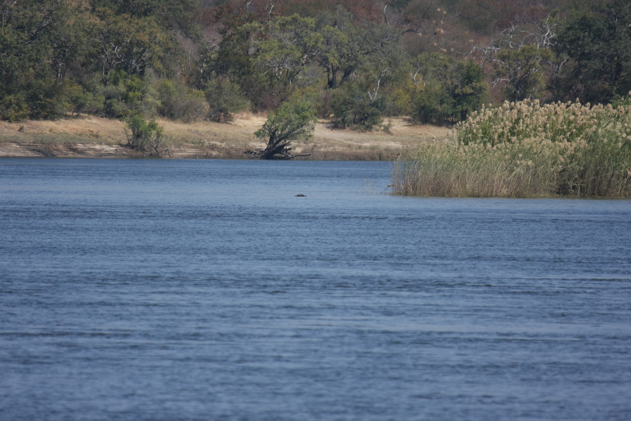 [32915] 2016_07_04_06_27_58_Africa_Canon_EOS_40D_IMG__05860.jpg