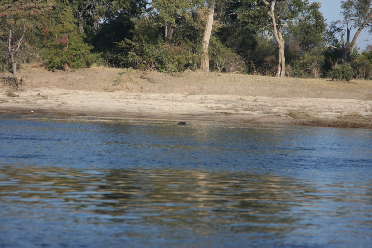 [33277] 2016_07_04_10_16_42_Africa_Canon_EOS_40D_IMG__05657.jpg