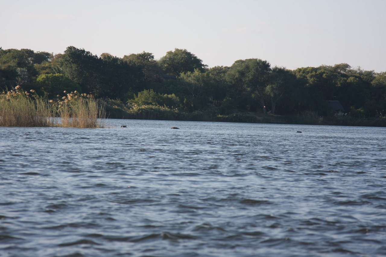 [33296] 2016_07_04_10_28_57_Africa_Canon_EOS_40D_IMG__00030.jpg