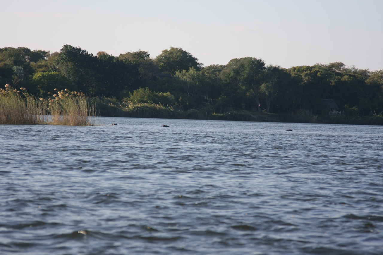 [33299] 2016_07_04_10_28_57_Africa_Canon_EOS_40D_IMG__05666.jpg
