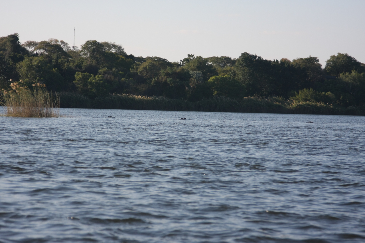 [33315] 2016_07_04_10_29_12_Africa_Canon_EOS_40D_IMG__00038.jpg