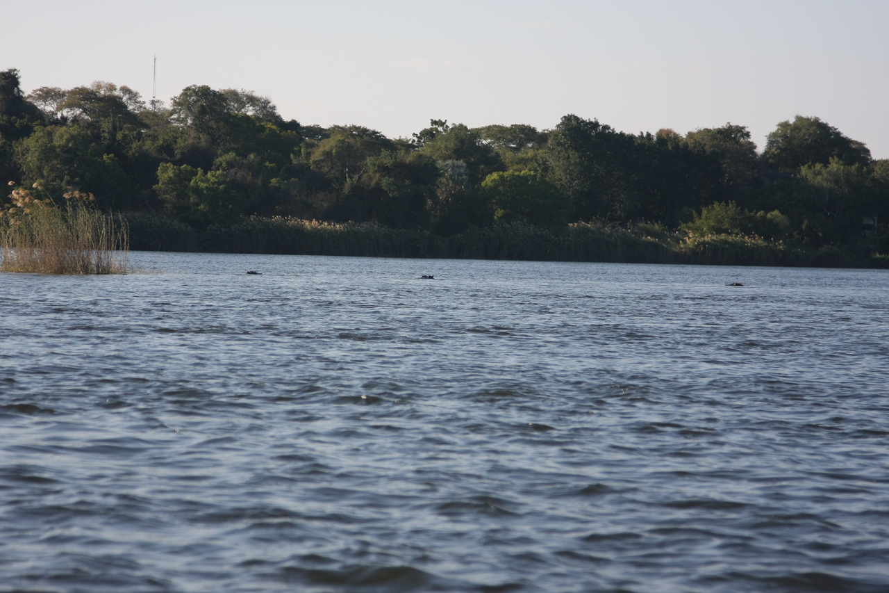 [33316] 2016_07_04_10_29_12_Africa_Canon_EOS_40D_IMG__05672.jpg