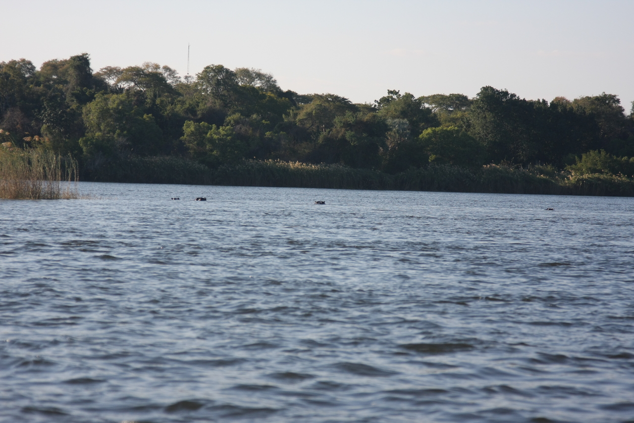 [33327] 2016_07_04_10_29_17_Africa_Canon_EOS_40D_IMG__13122.jpg