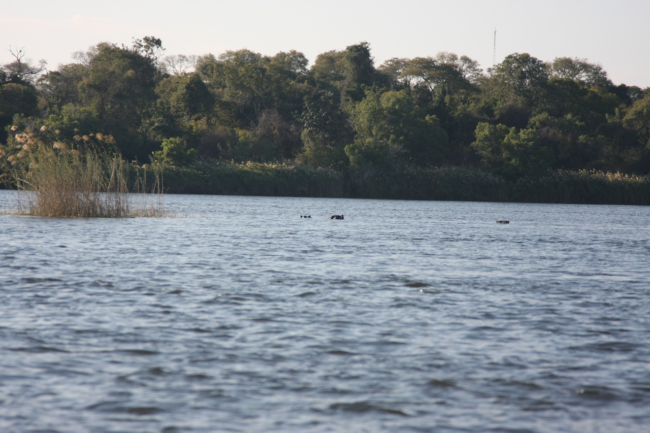 [33333] 2016_07_04_10_29_25_Africa_Canon_EOS_40D_IMG__13124.jpg