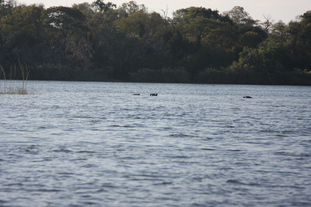 [33337] 2016_07_04_10_29_48_Africa_Canon_EOS_40D_IMG__05679.jpg