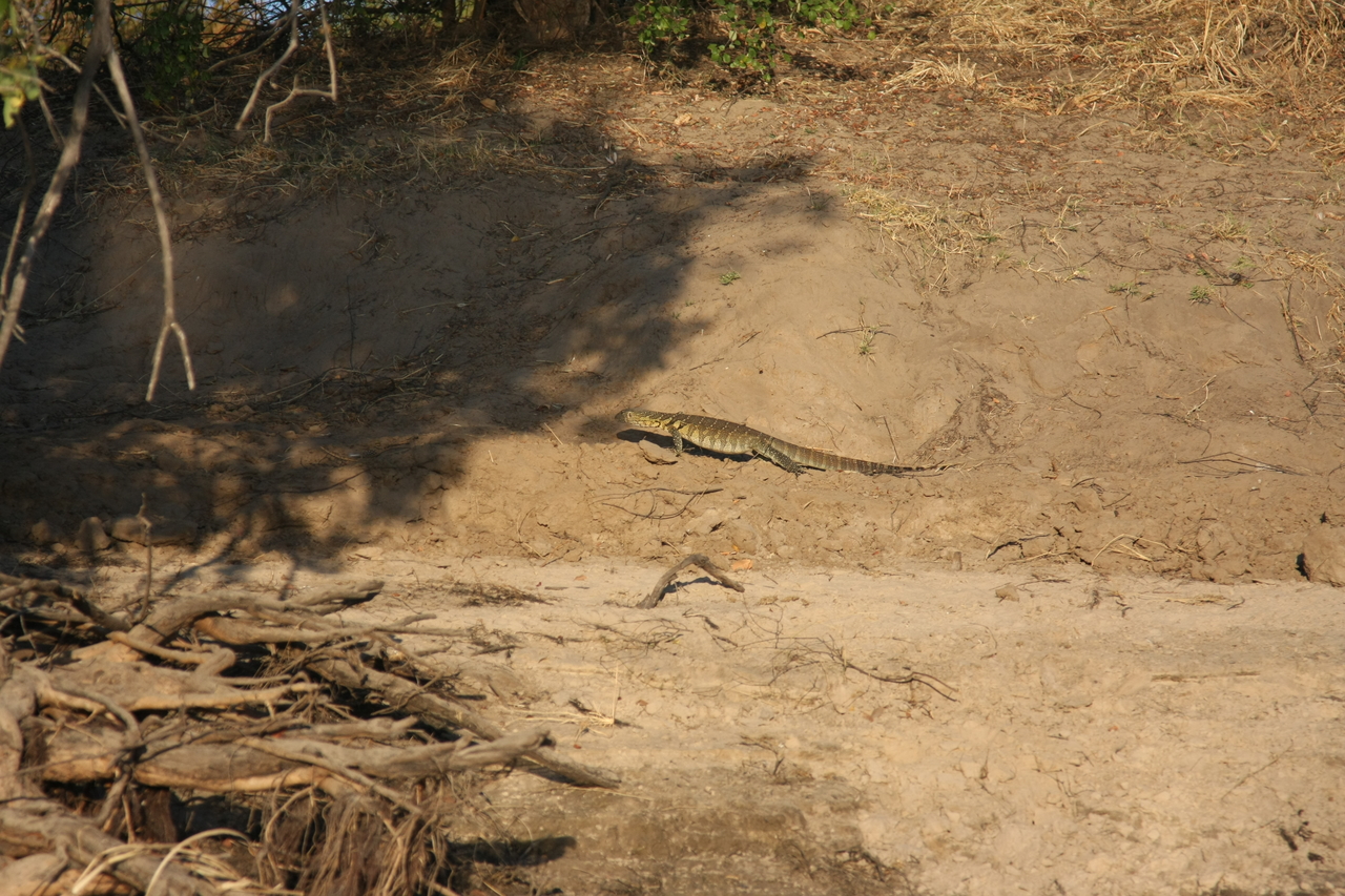 [33359] 2016_07_04_11_07_58_Africa_Canon_EOS_40D_IMG__05687.jpg