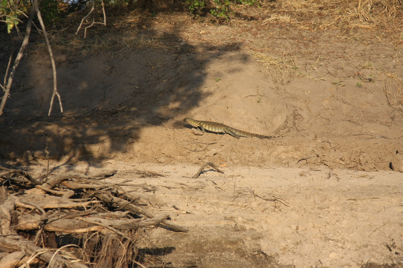 [33360] 2016_07_04_11_07_58_Africa_Canon_EOS_40D_IMG__05688.jpg