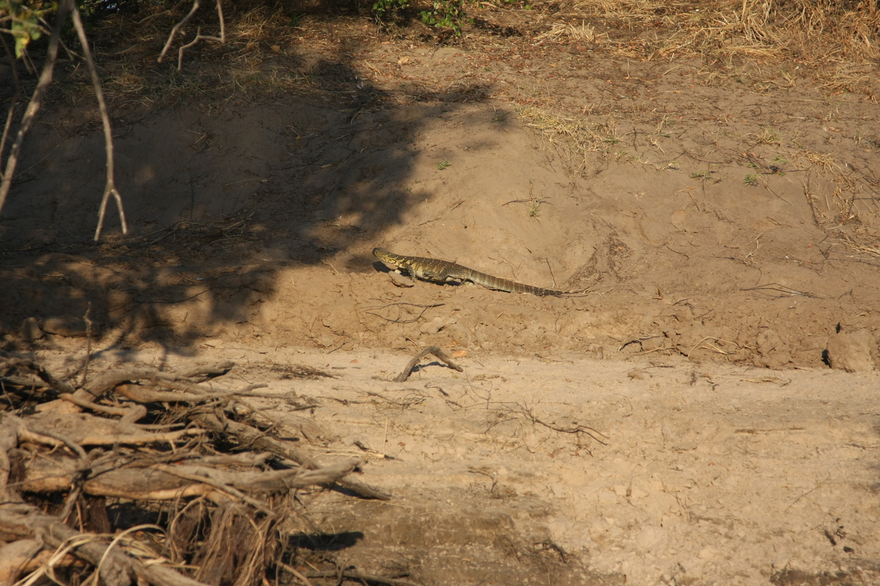 [33366] 2016_07_04_11_07_59_Africa_Canon_EOS_40D_IMG__05690.jpg