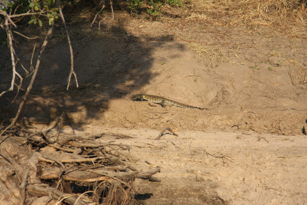[33374] 2016_07_04_11_08_01_Africa_Canon_EOS_40D_IMG__13138.jpg