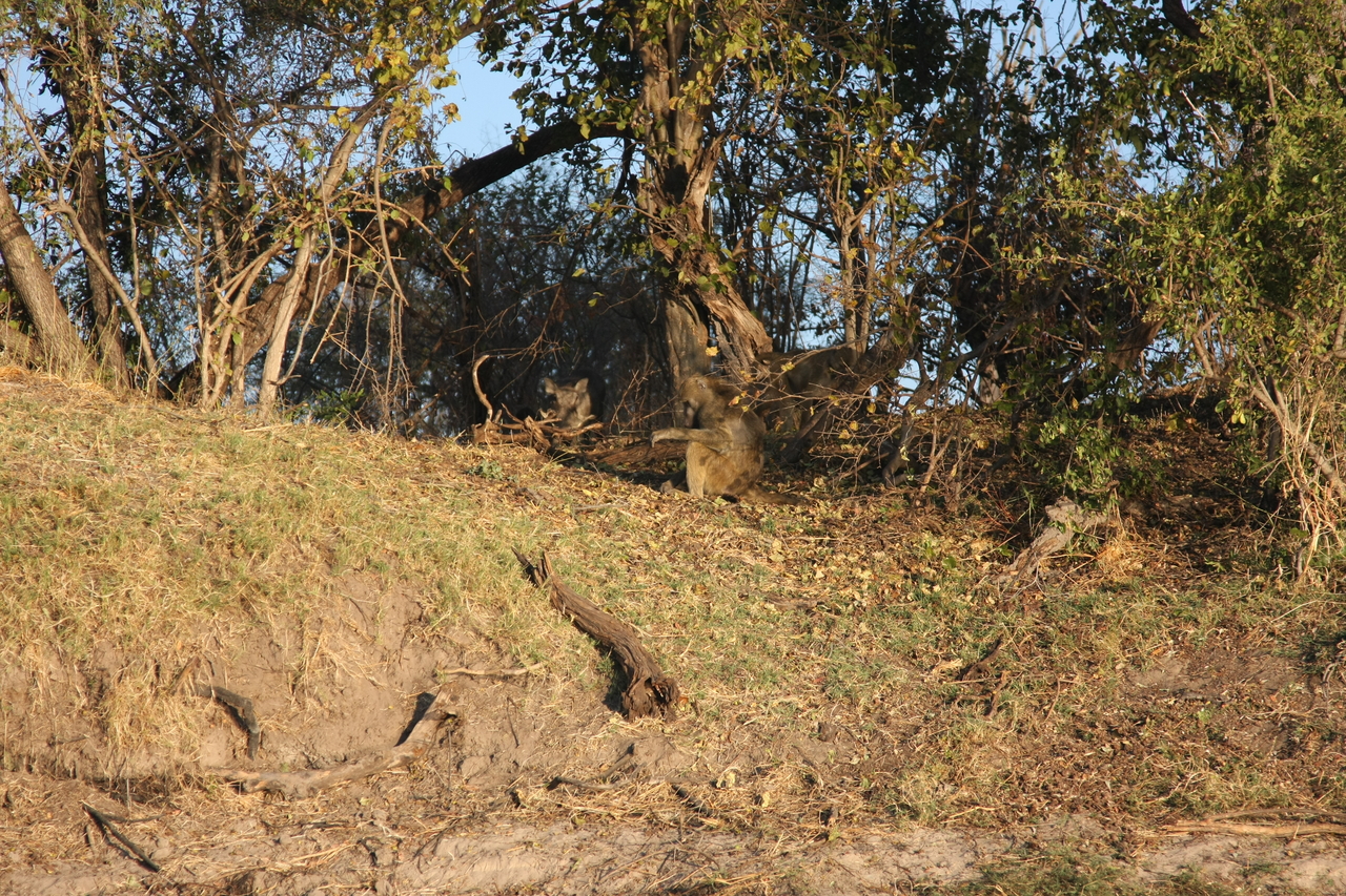 [33422] 2016_07_04_11_14_28_Africa_Canon_EOS_40D_IMG__05710.jpg