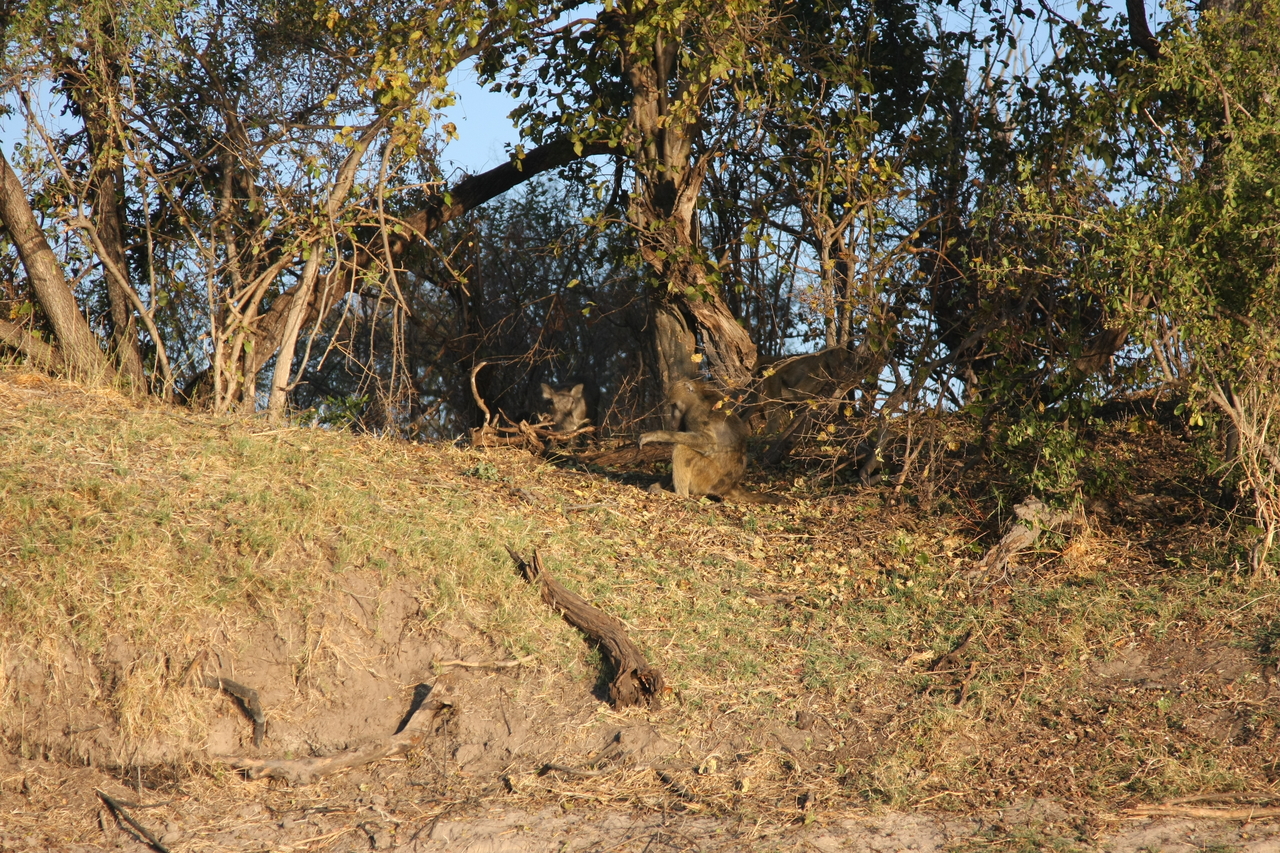 [33423] 2016_07_04_11_14_28_Africa_Canon_EOS_40D_IMG__05711.jpg