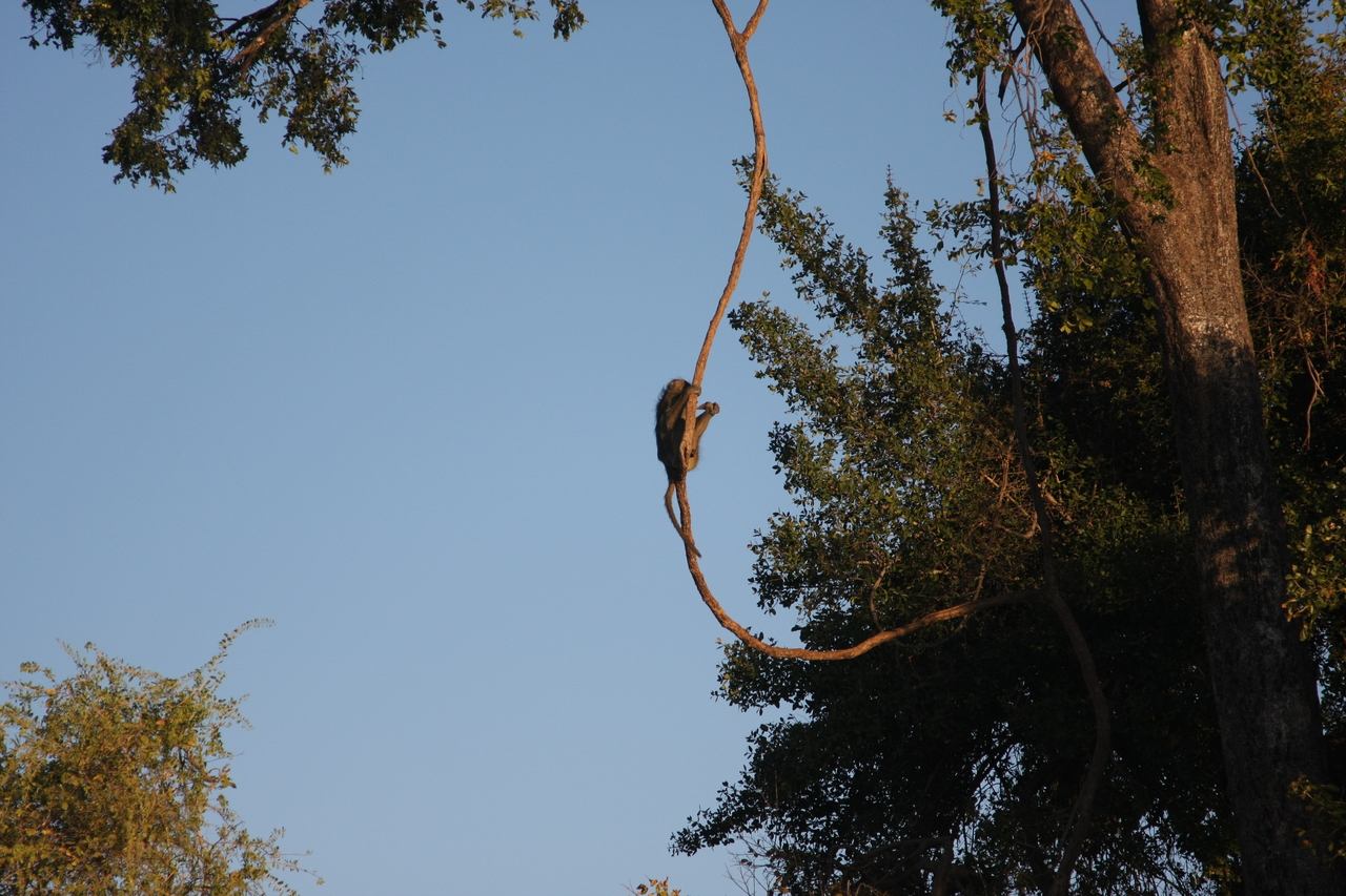 [33570] 2016_07_04_11_16_18_Africa_Canon_EOS_40D_IMG__05766.jpg