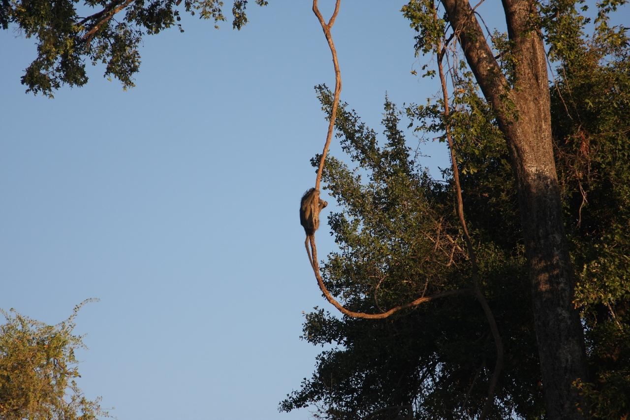 [33581] 2016_07_04_11_16_20_Africa_Canon_EOS_40D_IMG__13215.jpg