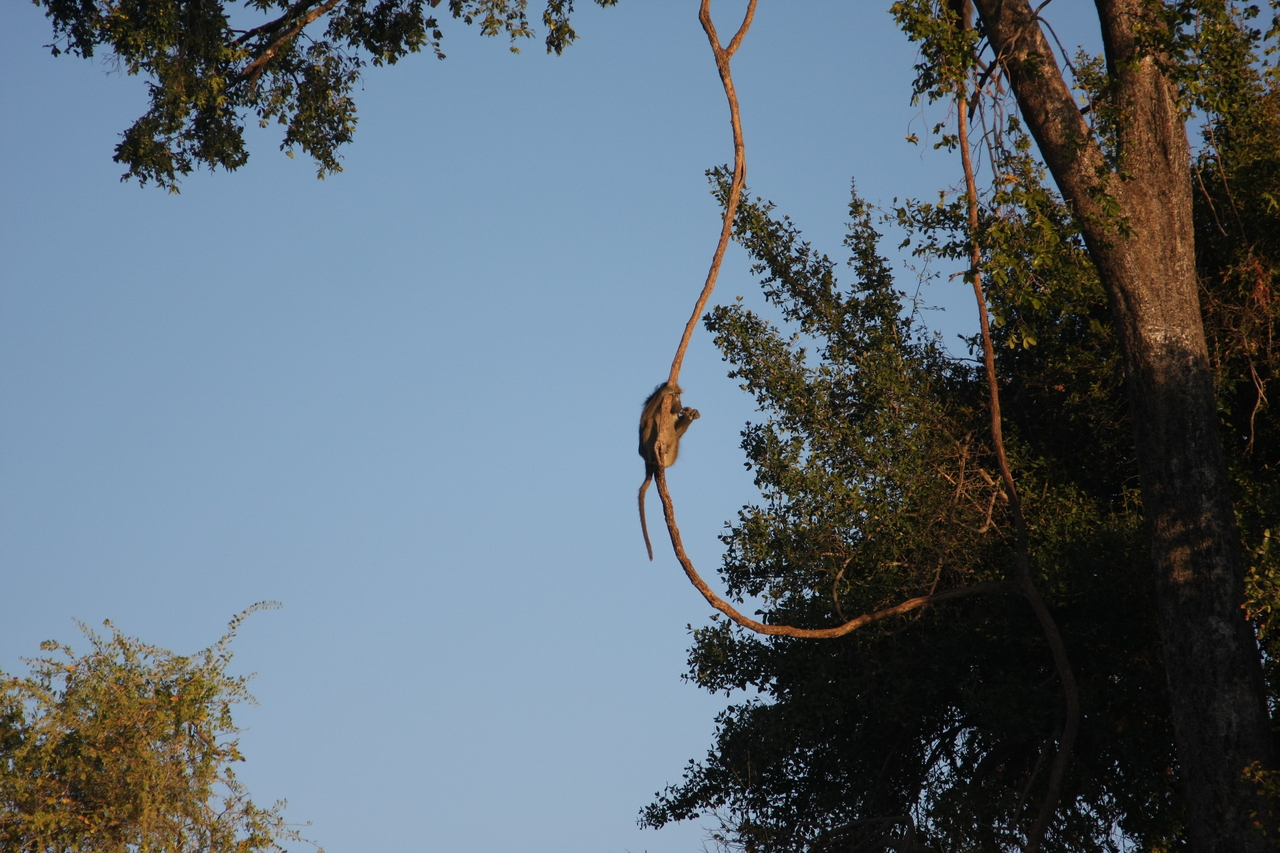 [33586] 2016_07_04_11_16_21_Africa_Canon_EOS_40D_IMG__05772.jpg