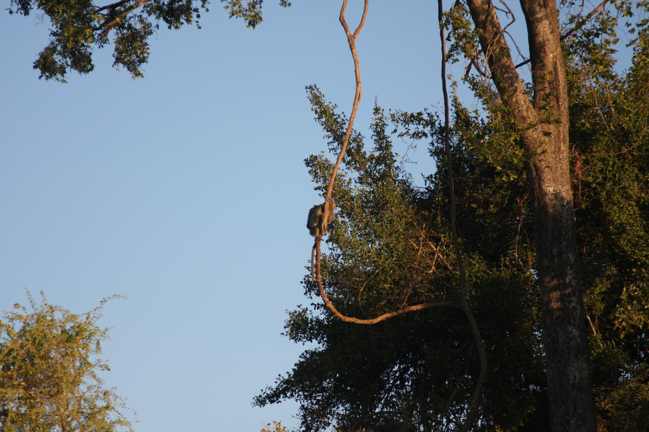 [33630] 2016_07_04_11_16_38_Africa_Canon_EOS_40D_IMG__13234.jpg