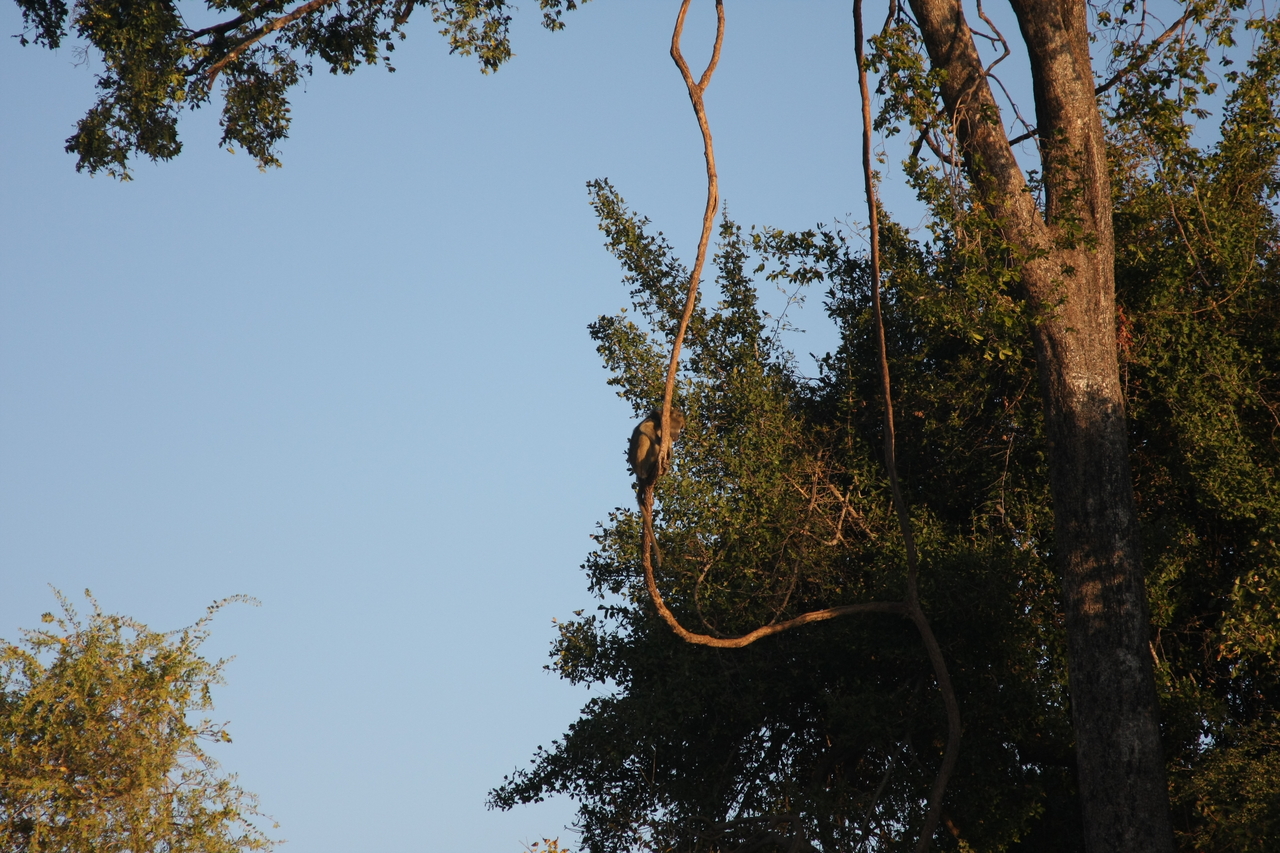 [33649] 2016_07_04_11_16_42_Africa_Canon_EOS_40D_IMG__00162.jpg