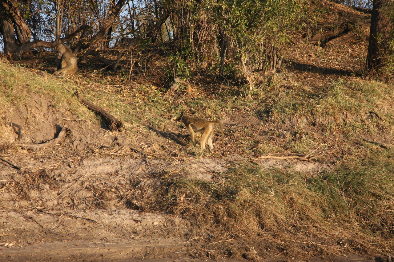 [33682] 2016_07_04_11_17_16_Africa_Canon_EOS_40D_IMG__05807.jpg