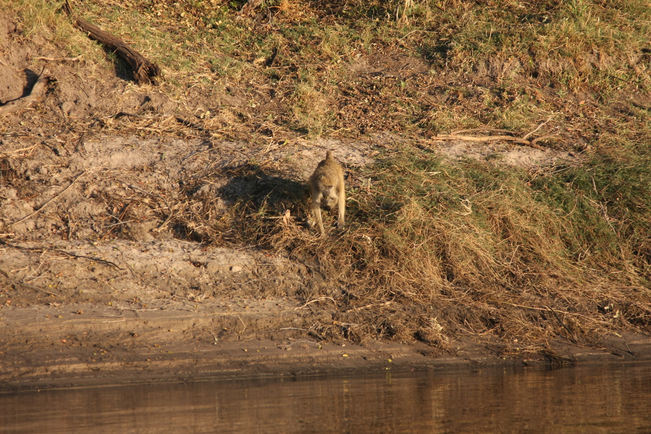 [33709] 2016_07_04_11_17_40_Africa_Canon_EOS_40D_IMG__05817.jpg