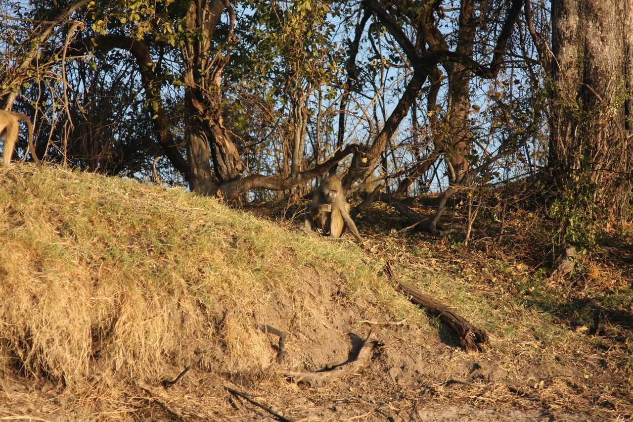 [33717] 2016_07_04_11_18_04_Africa_Canon_EOS_40D_IMG__05820.jpg