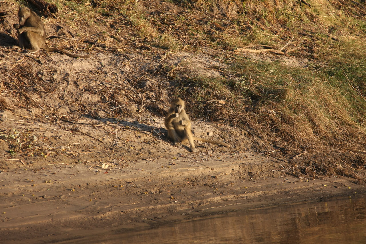 [33755] 2016_07_04_11_19_08_Africa_Canon_EOS_40D_IMG__05833.jpg