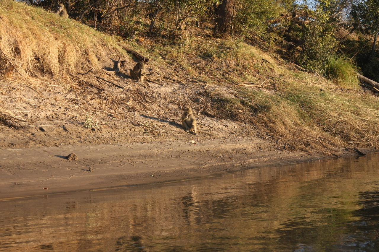 [33765] 2016_07_04_11_19_33_Africa_Canon_EOS_40D_IMG__00204.jpg