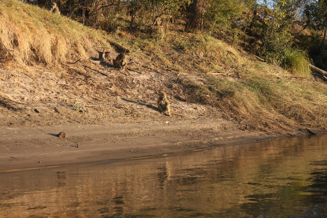 [33768] 2016_07_04_11_19_33_Africa_Canon_EOS_40D_IMG__13285.jpg