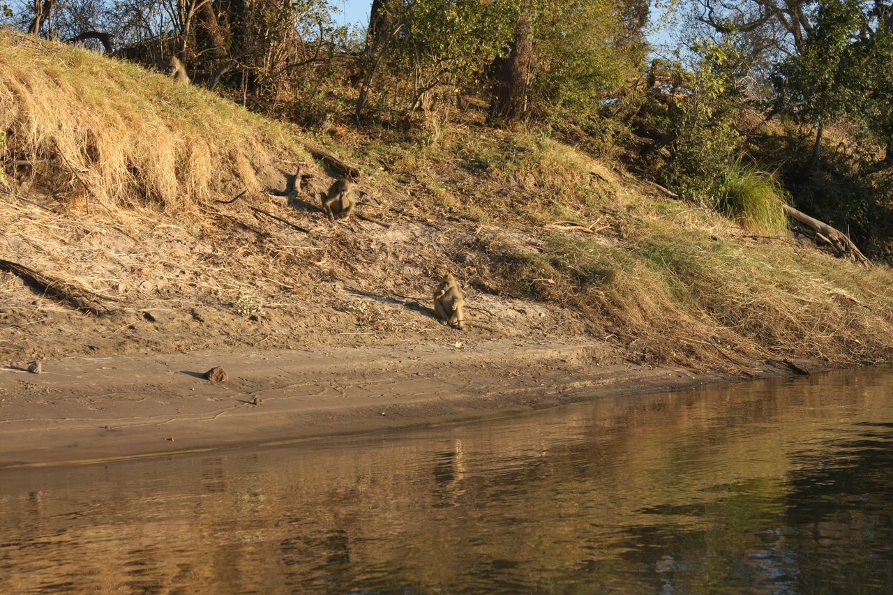 [33772] 2016_07_04_11_19_40_Africa_Canon_EOS_40D_IMG__00207.jpg
